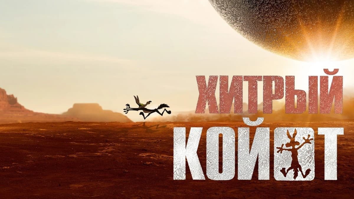 Хитрый койот постер
